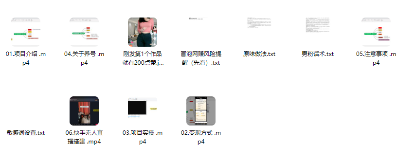 图片[1]-利用AI换脸美女跳舞，最新男粉项目【揭秘】-小焱AI